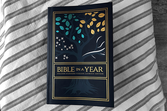 The Bible in a Year we will use for a meaningful Lent