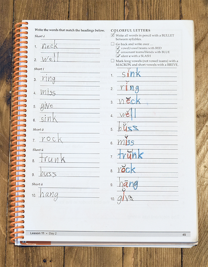 Word classification and color-coding work in homeschool spelling program