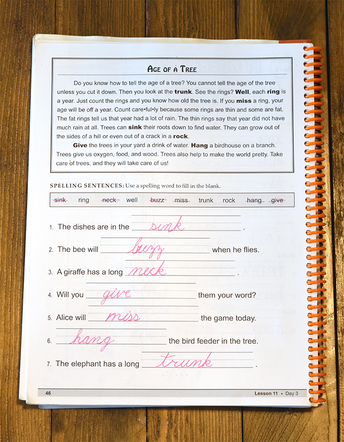 Using spelling words in context in Traditional Spelling