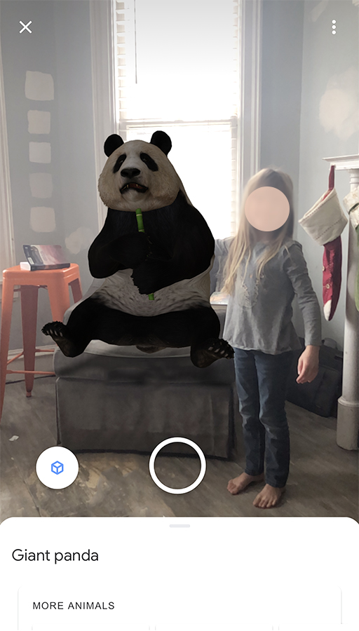 Screenshot from using Google 3D to learn about pandas as a hands-on science activity