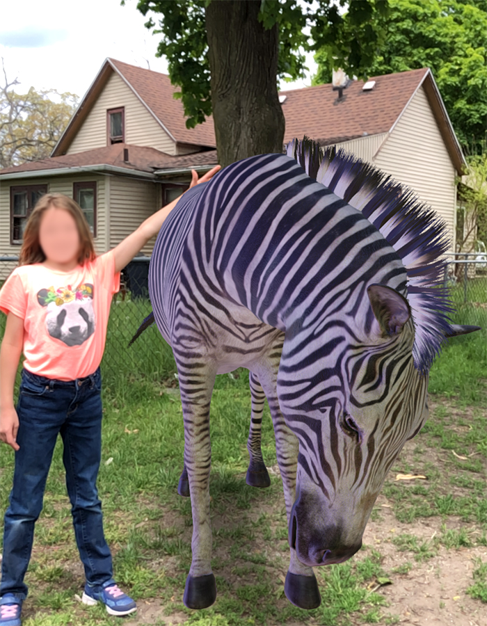 Playing with a zebra using Google 3D