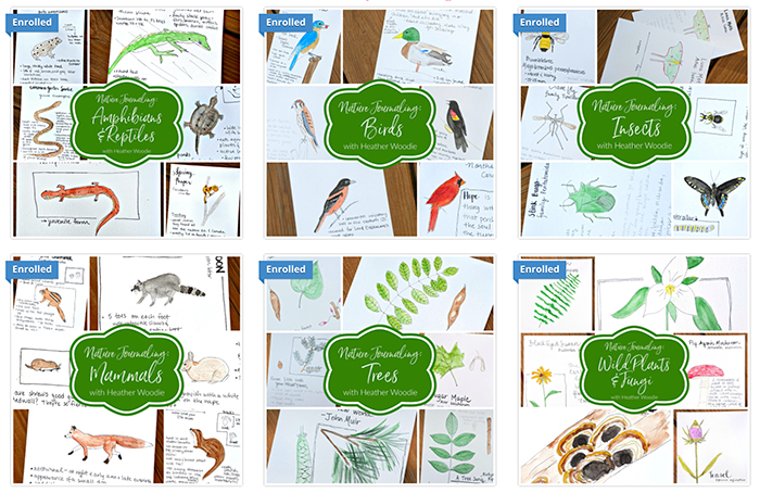 Nature Journaling sets for homeschool art and science