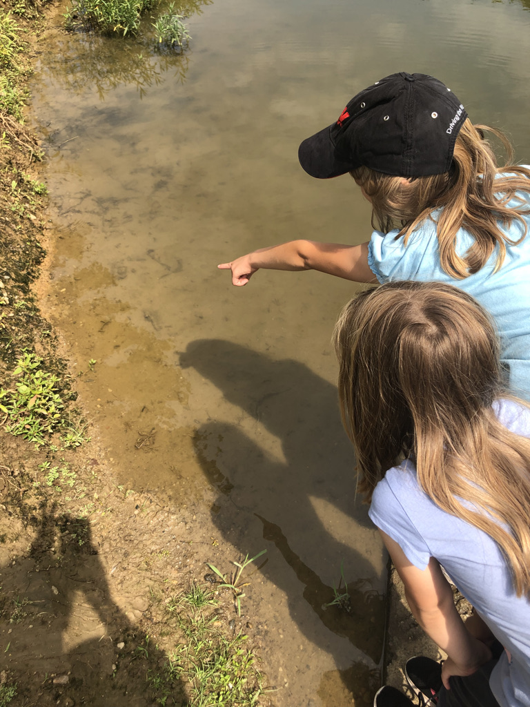 Children looking for minnows