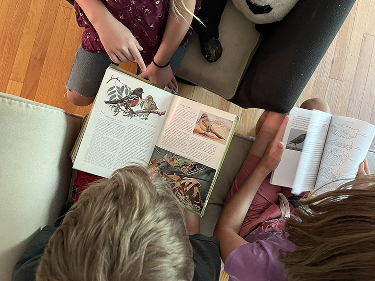 Homeschooling science informally as children look at books about birds